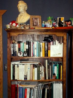 Book Shelf #1